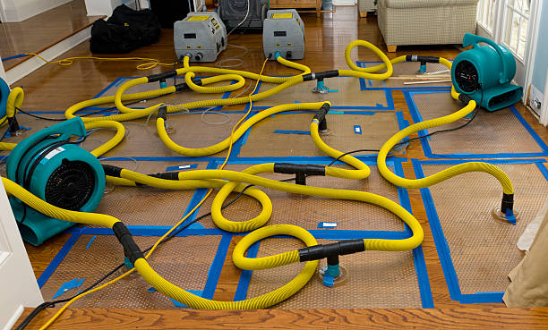 Professional Structural Drying And Dehumidification technician working in Tomales, CA